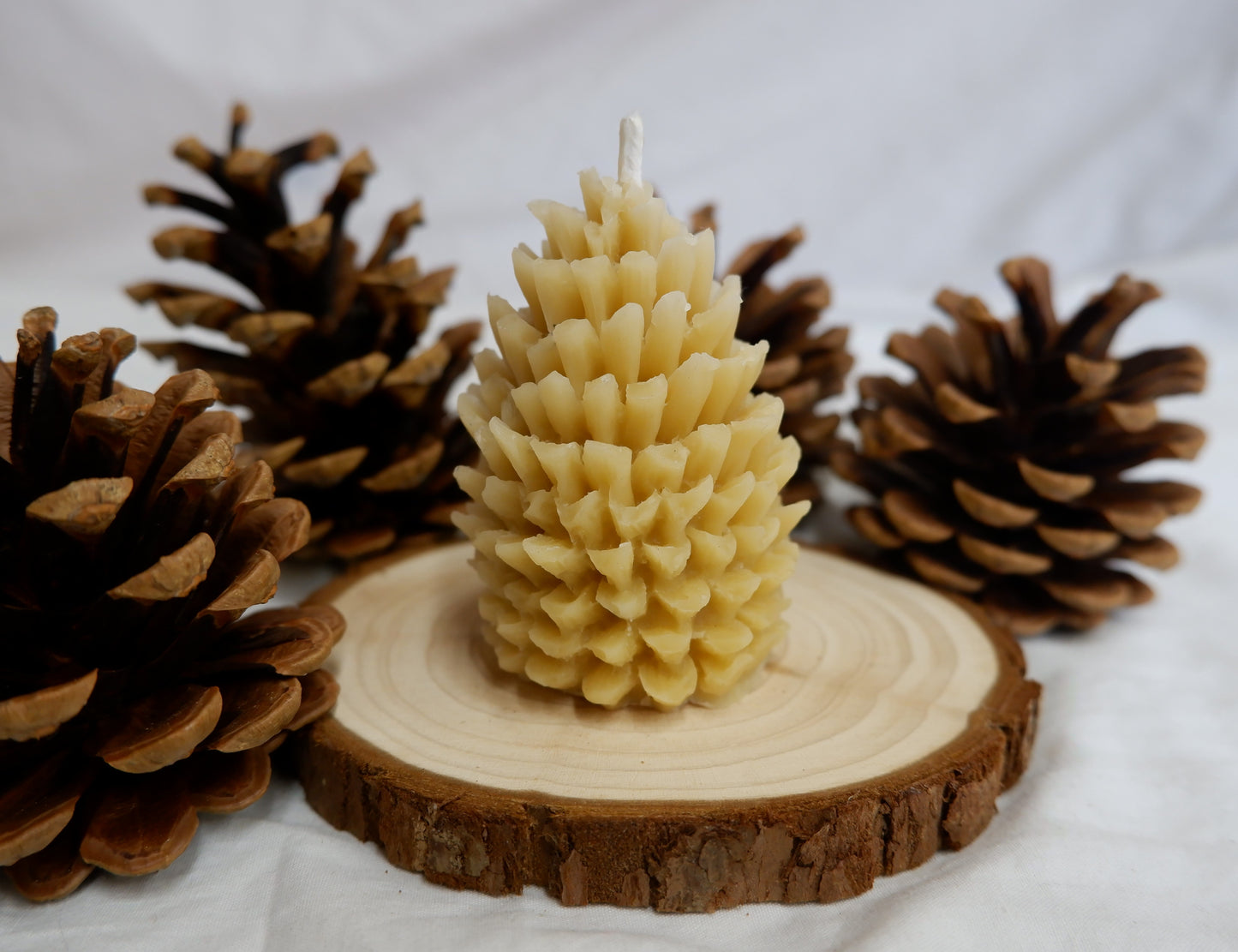 Pinecone Beeswax Candle